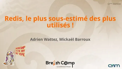 Redis, le plus sous-estimé des plus utilisés !